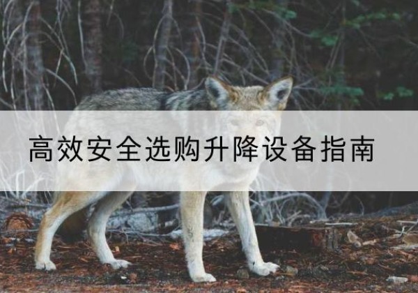 抚宁升降货梯厂家推荐-*安全选购升降设备指南
