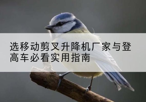 抚宁电动升降机厂家-选移动剪叉升降机厂家与登高车必看实用指南