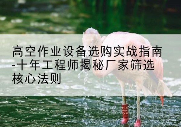 抚宁剪叉式升降机厂家-高空作业设备选购实战指南-十年工程师揭秘厂家筛选核心法则